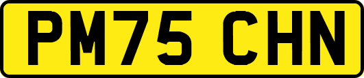 PM75CHN