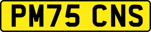 PM75CNS
