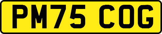 PM75COG