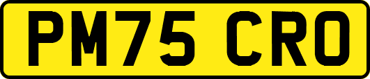 PM75CRO