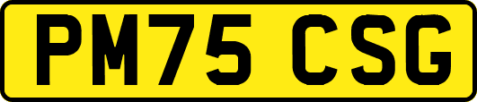 PM75CSG
