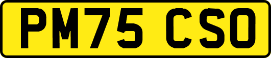 PM75CSO