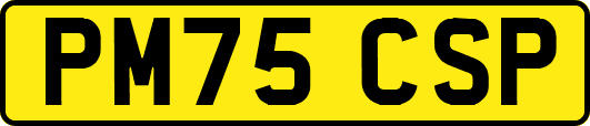 PM75CSP