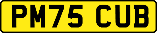 PM75CUB