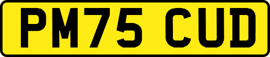 PM75CUD