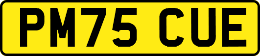 PM75CUE