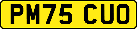 PM75CUO
