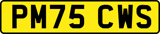 PM75CWS