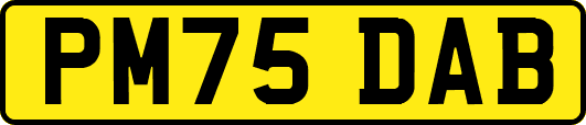 PM75DAB