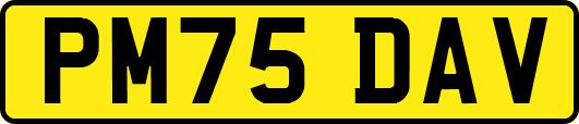 PM75DAV