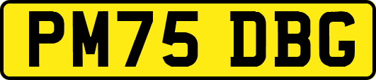 PM75DBG