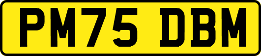 PM75DBM