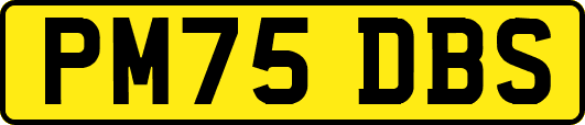 PM75DBS