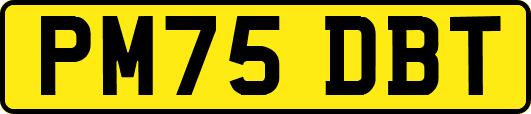 PM75DBT