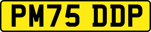 PM75DDP