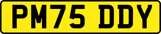 PM75DDY