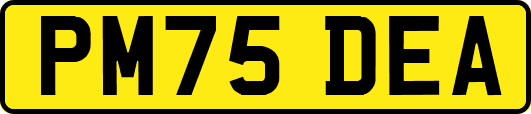 PM75DEA