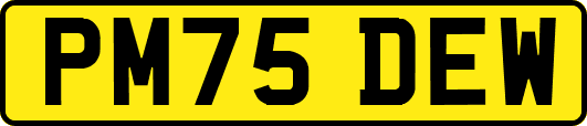 PM75DEW