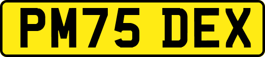 PM75DEX