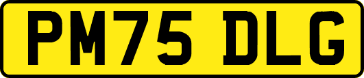 PM75DLG