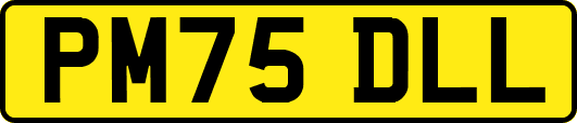 PM75DLL