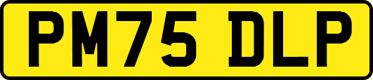 PM75DLP