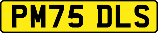 PM75DLS