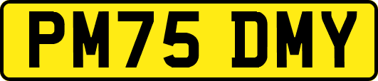 PM75DMY