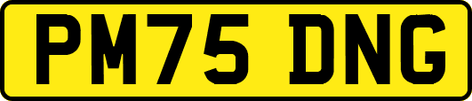 PM75DNG