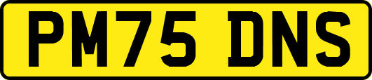 PM75DNS