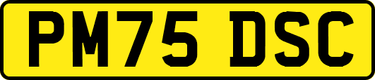 PM75DSC