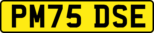 PM75DSE