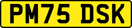 PM75DSK