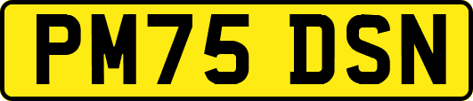 PM75DSN