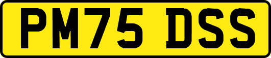 PM75DSS