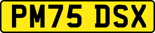 PM75DSX