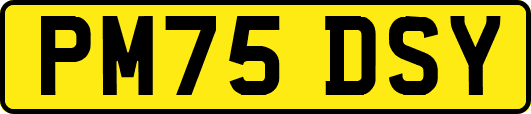 PM75DSY