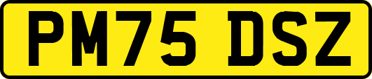 PM75DSZ