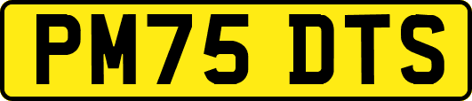 PM75DTS
