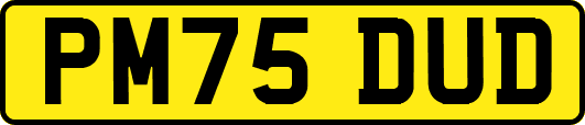 PM75DUD