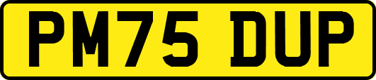 PM75DUP
