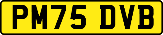 PM75DVB