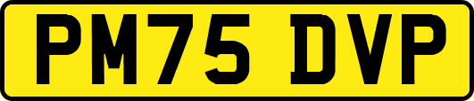 PM75DVP