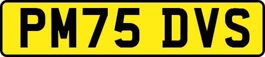 PM75DVS