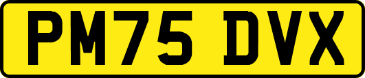 PM75DVX
