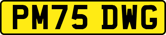 PM75DWG