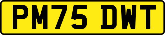 PM75DWT