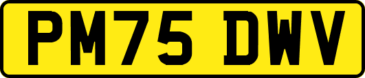 PM75DWV