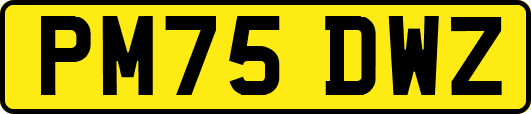 PM75DWZ
