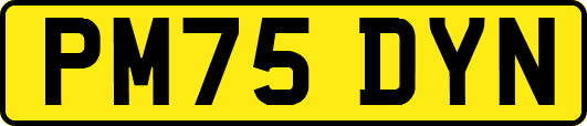 PM75DYN